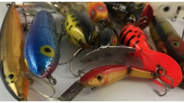 poissons nageurs et plus