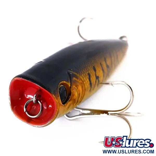 Bass Pro Shops XTS Popper, Gold Tiger, 10,5g, Leurre de surface, #10652