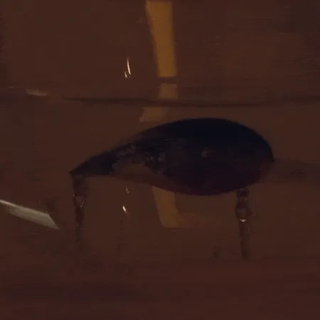 Bite Lite Cobra Poisson-nageur, Orange Crawfish, 21g, LED, #10905