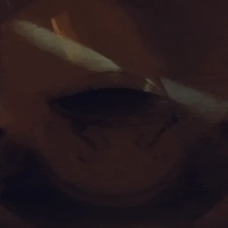 Bite Lite Viper Lipless (with flashing LED)