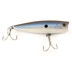 Bass Pro Shops XTS 