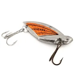 Reef Runner Cicada