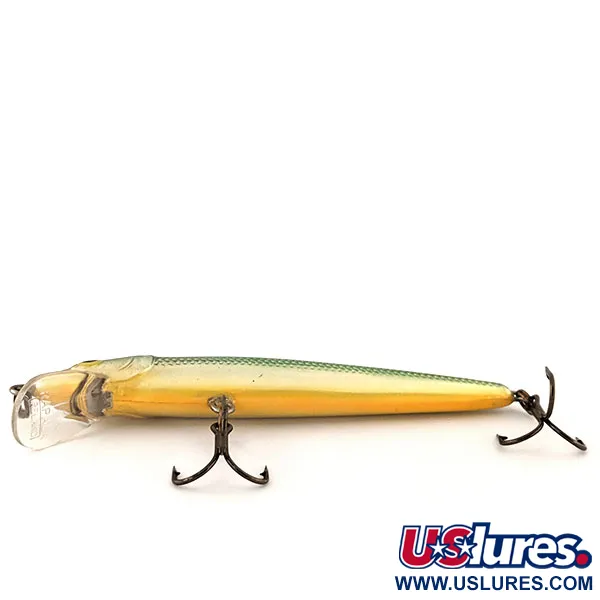 Rapala Husky Jerk 10 Poisson Nageur, Argent-Vert-Or, 10g, Suspending, #12839