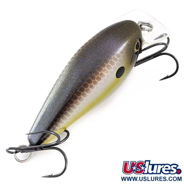 Strike King KVD 1.5 Square Bill Silencieux