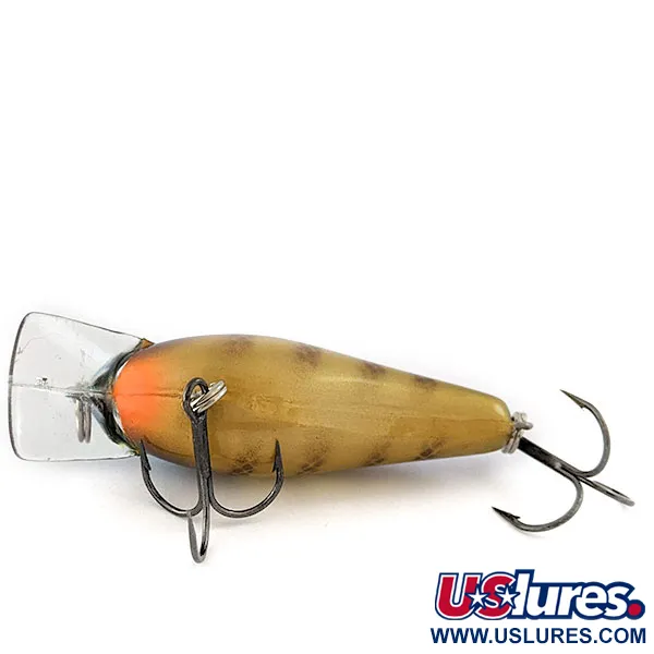 Strike King KVD 1.5 square bill silencieux