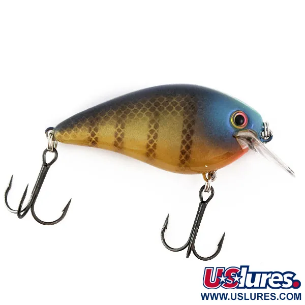 Strike King KVD 1.5 square bill silencieux