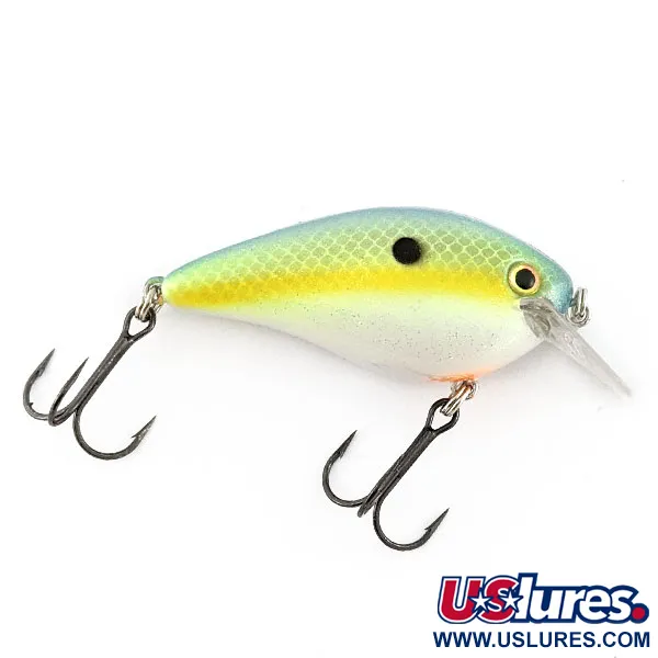 Strike King KVD 1.5 Square Bill Silencieux