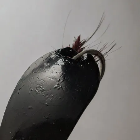 Weezel Rex Spoon, noir, 12g, Cuillère ondulante #21779