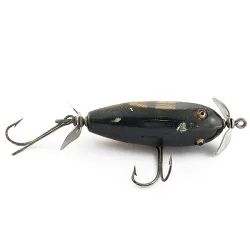 Creek Chub Injured Minnow, yeux en verre