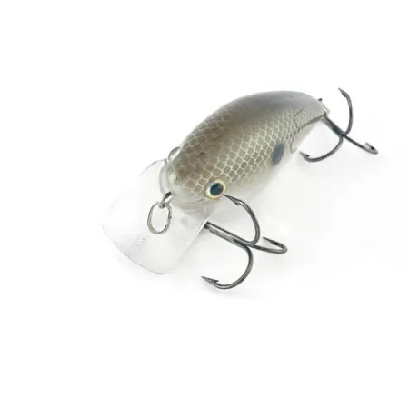 Strike King KVD 1.5 Silent, Olive Sexy Shad, 12g, Crankbait #23627