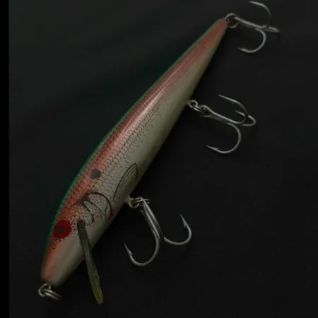 Rebel Floater F14, 14g, Coloris Truite, Poisson-nageur #23753