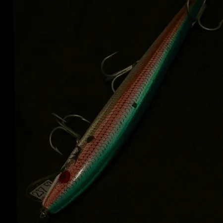 Rebel Floater F14, 14g, Coloris Truite, Poisson-nageur #23753