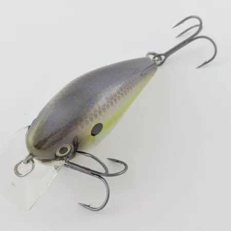 Strike King KVD 1.5 Silent, 12g, Olive Sexy Shad, Crankbait à bavette carrée #23995