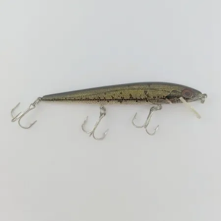 Rebel Floater F12, Naturalized Baby Bass, 9g, Poisson Nageur #24065