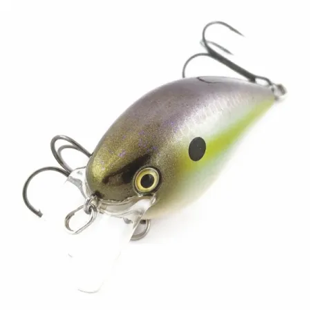 Strike King KVD 1.5 Silent, Olive Sexy Shad, 12g, Crankbait Square Bill #24145
