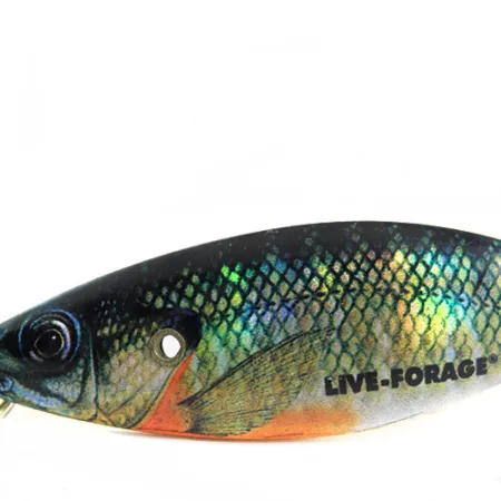 Northland Weedless Live Forage Cuillère, Perche, 16.5g, Anti-herbe, #0700