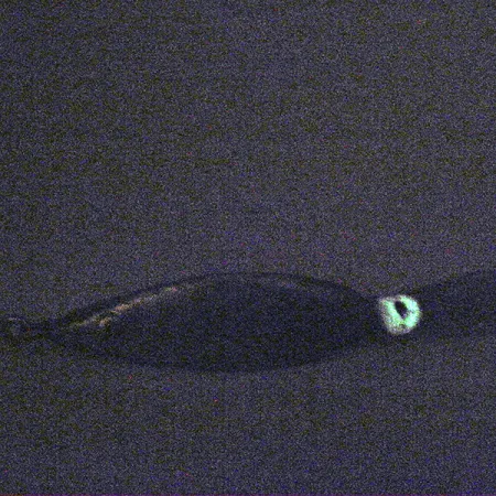 Weedless Fred Arbogast 3 Hawaiian Glow Cuillère, 16g, Anti-herbe, #3338