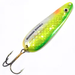 Forage Minnow