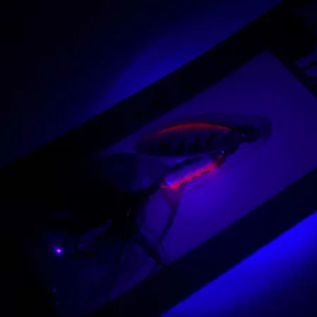 Worden’s Original Rooster Tail Cuillère, Fire Tiger, 1/16oz, #RT.208.TNMT.B3