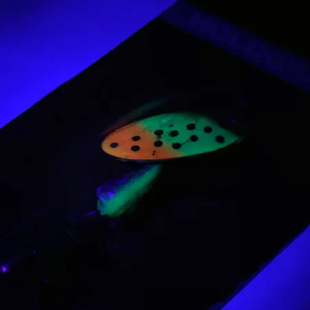 Panther Martin 4 UV Cuillère, Rainbow UV, 4g, Holographique, #4-PMH-FTH