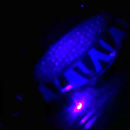 Blue Fox Rattlin Pixee UV Cuillère, Nickel / Bleu, 24g, UV, #4556