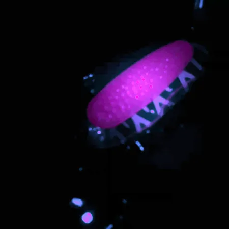 Blue Fox Pixee UV Cuillère, Nickel/Rose, 14g, Finition UV, #4558