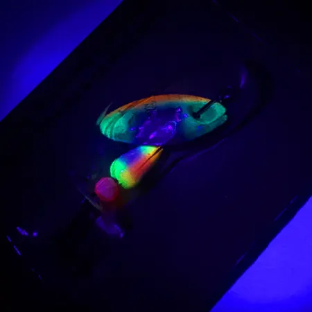 Panther Martin 2 Cuiller, Truite Arc-en-ciel, 2.5g, FishSeeUV, #4602