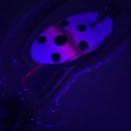 Panther Martin 2 UV Cuiller, Truite, 2,5g, Finition UV, #4603