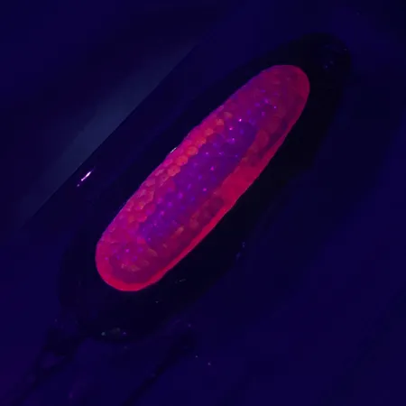 Blue Fox Rattlin Pixee UV Cuillère, Or / Rouge, 14g, Bruitée, #4749