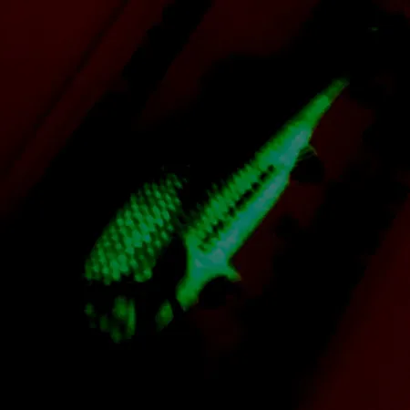 Northland Live Forage Glow Cuillère, Arc-en-ciel, 7g, Laiton, #5140