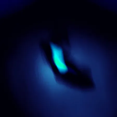 Reef Runner Cicada Lame Vibrante, Black / Green, 1,2g, Glow, #5241