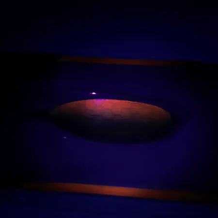 Johnson Silver Minnow Cuillère Anti-herbe, Vert/Orange/Nickel, #6193