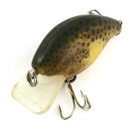 Rebel Teeny R Crankbait, Truite fario, 6g, suspending, #7389