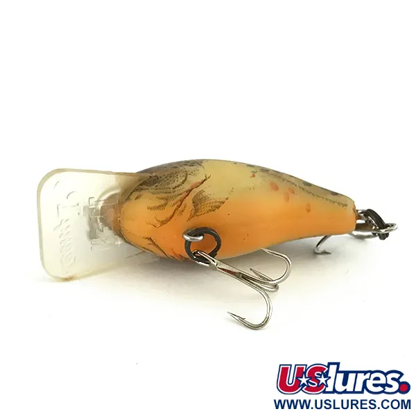 Rebel Teeny R Crankbait, Truite fario, 6g, suspending, #7389