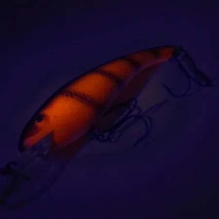 Cotton Cordell Wally Diver UV Poisson Nageur, Rouge, 14g, UV, #7745