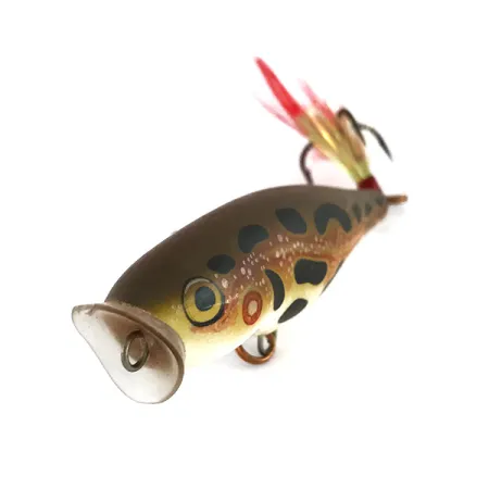 Rapala Skitter Pop Popper, Léopard, 7g, Balsa, #8059