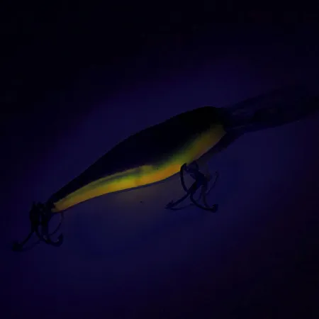 Rapala Shad Rap Deep Runner 07 Poisson-nageur, Bleu/Argent, 8g, #8756