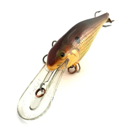 Rapala Shad Rap Deep Runner 07 Poisson-nageur, Doré, 8g, Balsa, #9033
